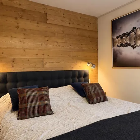 Homency - Expression B21 L'hermine * Alpe d'Huez